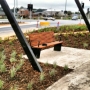 Casiana Grove residential development, Cranbourne